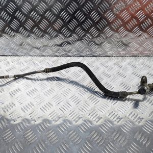 49c2931466ba40088a821c279c4c684c